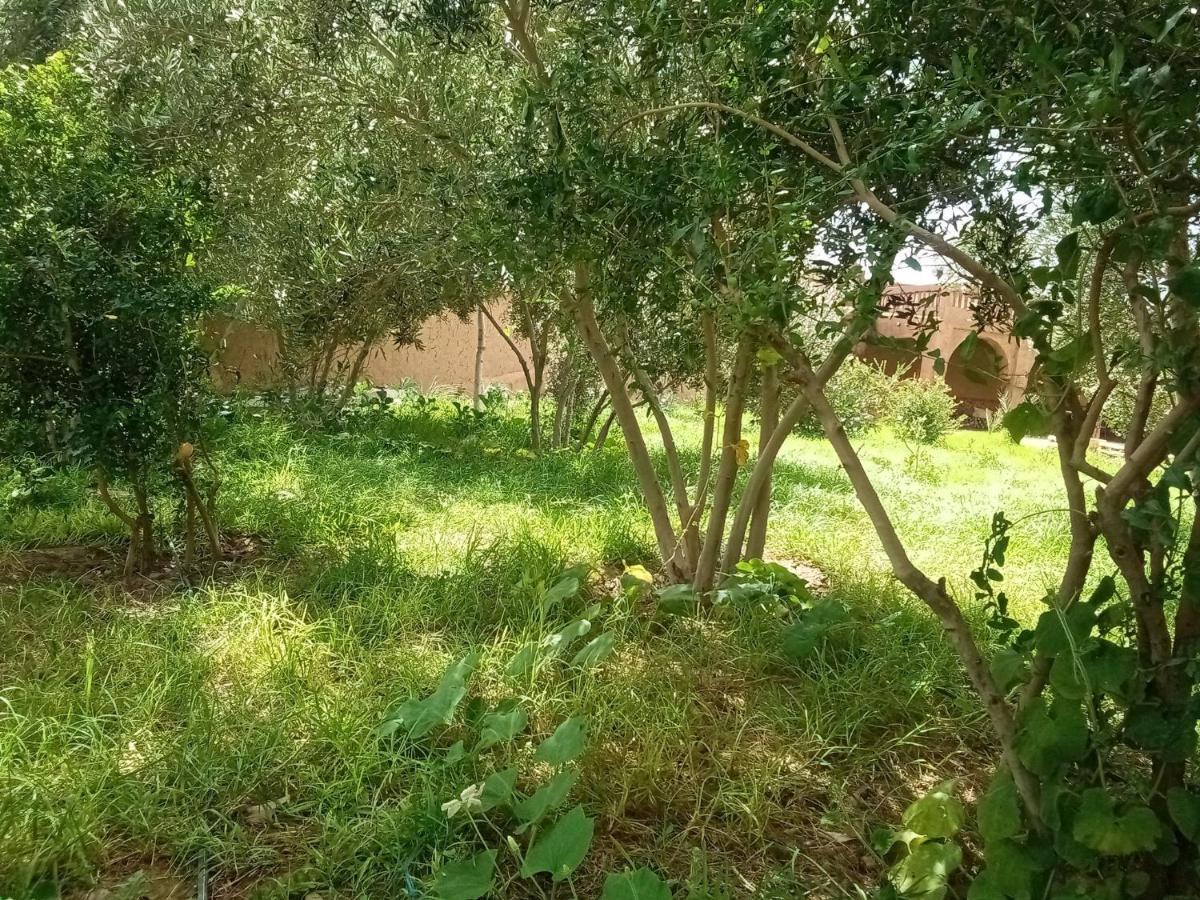Maison D’hôte Dar Panorama Skoura Extérieur photo