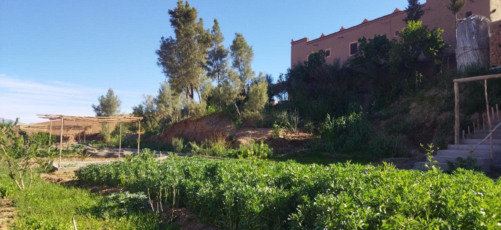 Maison D’hôte Dar Panorama Skoura Extérieur photo